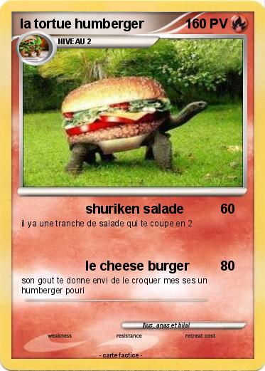Pokemon la tortue humberger