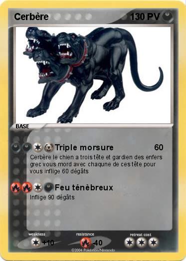 Pokemon Cerbère 