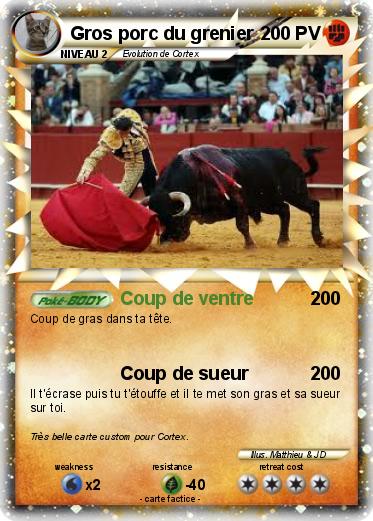 Pokemon Gros porc du grenier