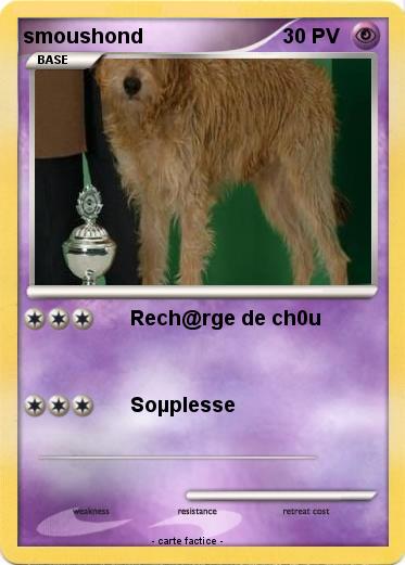 Pokemon smoushond