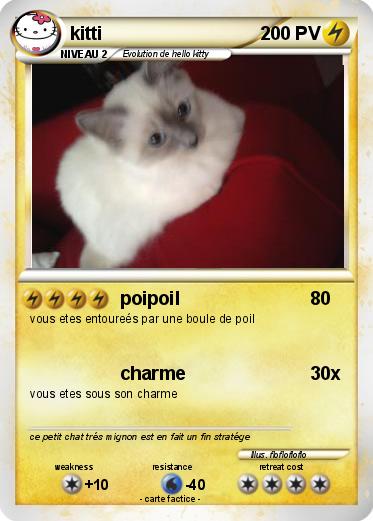 Pokemon kitti