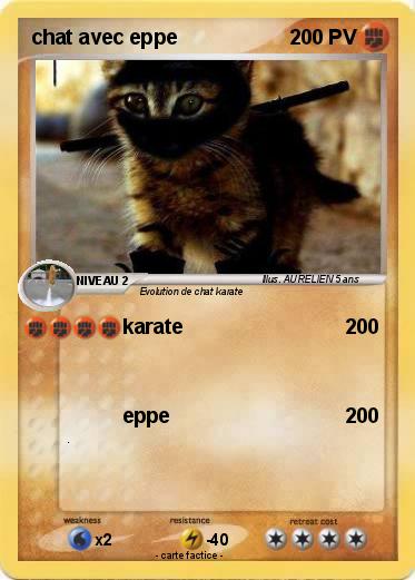 Pokemon chat avec eppe