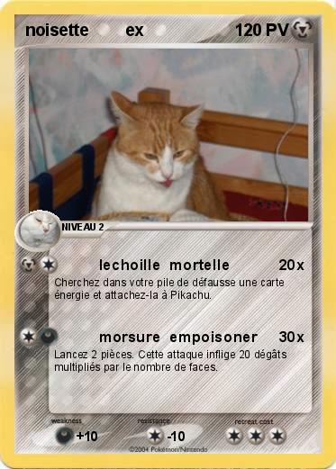 Pokemon noisette        ex