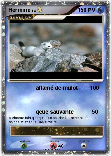 Pokemon Hermine