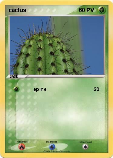 Pokemon cactus