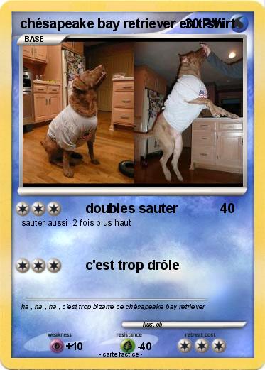 Pokemon chésapeake bay retriever en t-shirt
