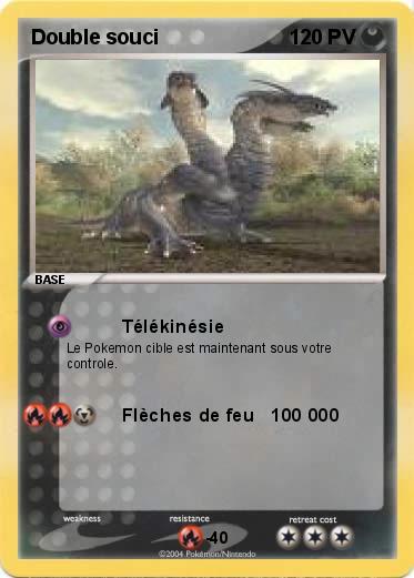 Pokemon Double souci
