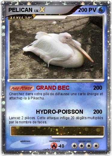 Pokemon PELICAN