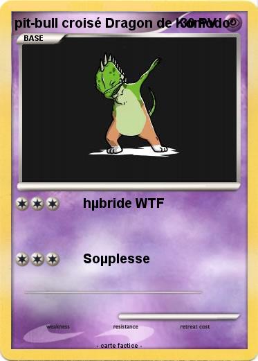 Pokemon pit-bull croisé Dragon de Komodo