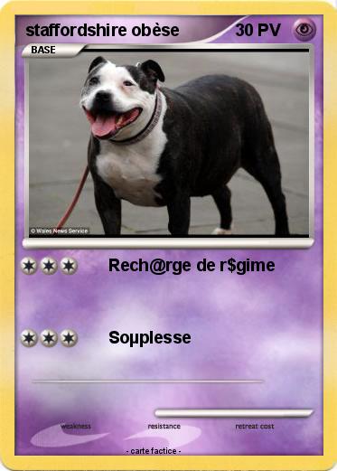 Pokemon staffordshire obèse