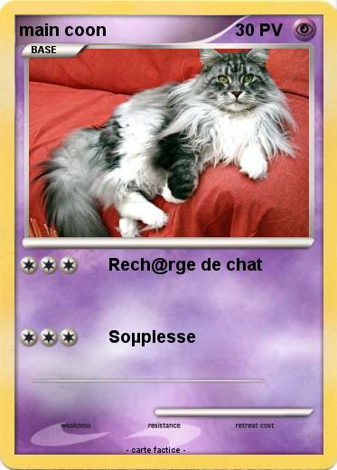 Pokemon main coon