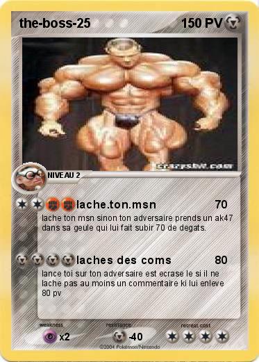 Pokemon the-boss-25