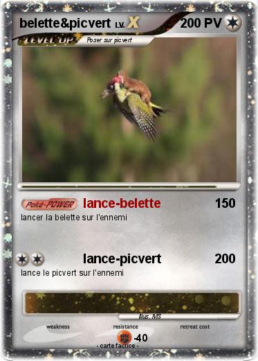 Pokemon belette&picvert