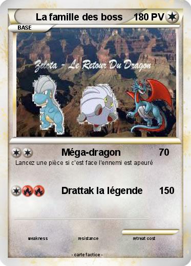 Pokemon La famille des boss
