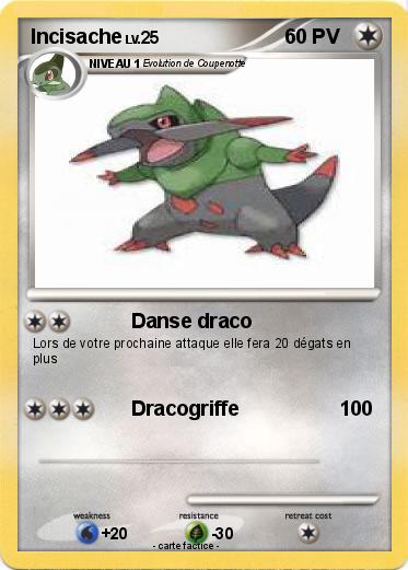 Pokemon Incisache