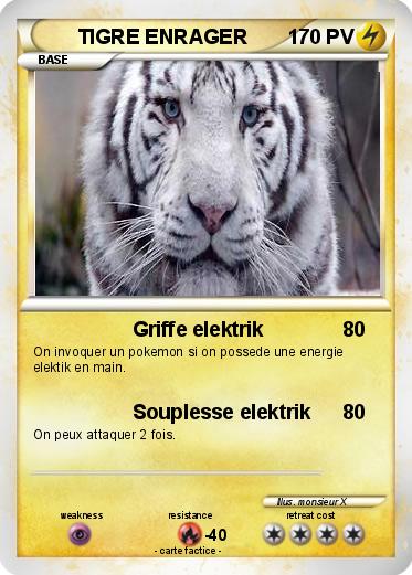 Pokemon TIGRE ENRAGER