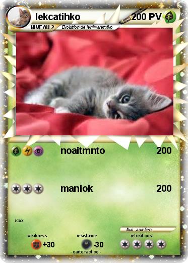 Pokemon lekcatihko
