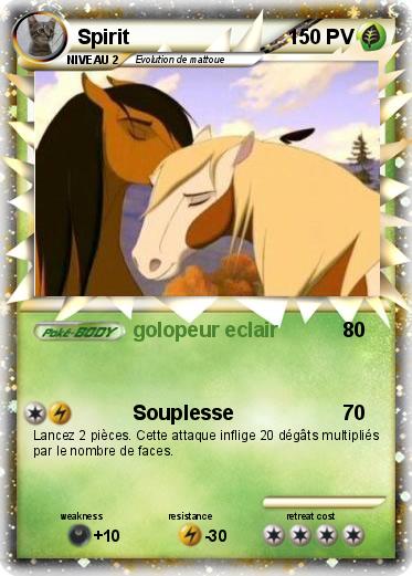 Pokemon Spirit