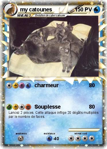 Pokemon my catounes