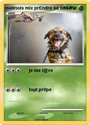 Pokemon malinois mix pr£ndre sa douche