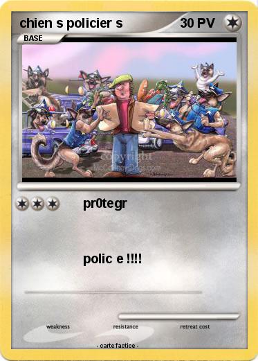 Pokemon chien s policier s