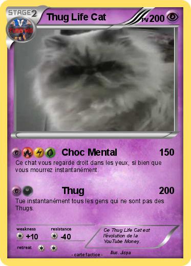 Pokemon Thug Life Cat