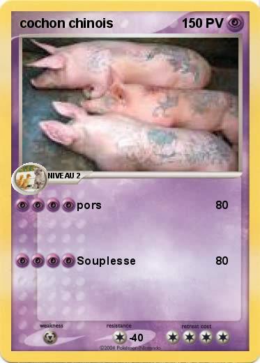 Pokemon cochon chinois