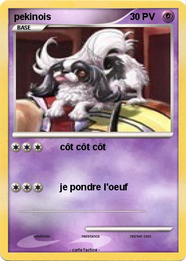 Pokemon pekinois