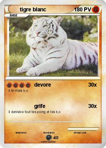 Pokemon tigre blanc