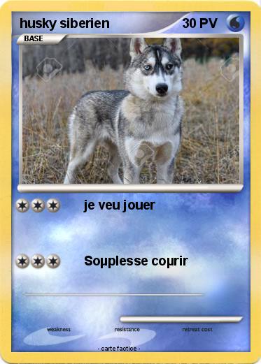 Pokemon husky siberien