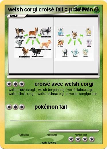 Pokemon welsh corgi croisé fail = pokémon