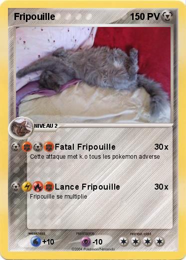 Pokemon Fripouille