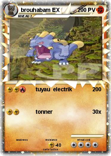 Pokemon brouhabam EX