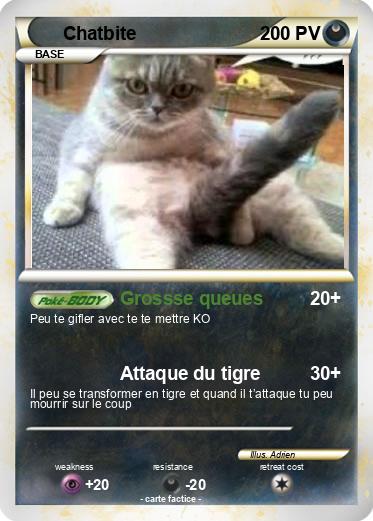 Pokemon Chatbite