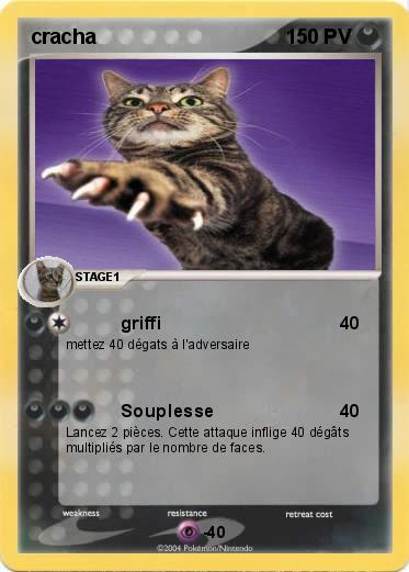 Pokemon cracha