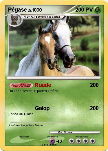 Pokemon Pégase