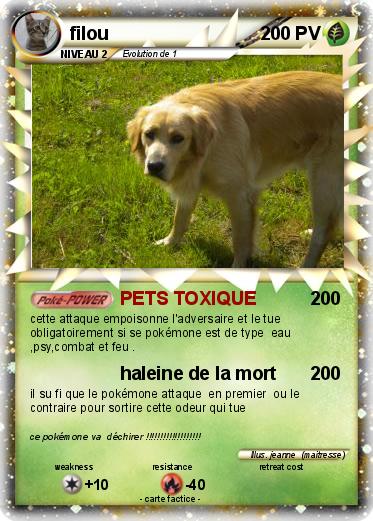 Pokemon filou