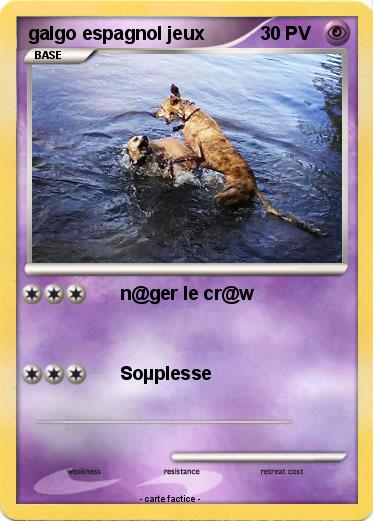 Pokemon galgo espagnol jeux
