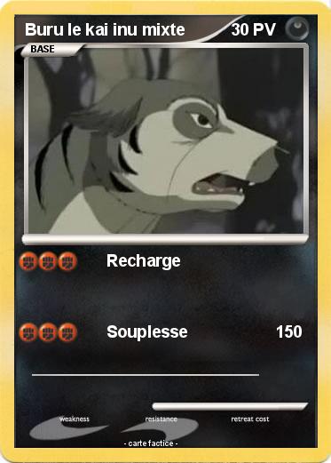 Pokemon Buru le kai inu mixte