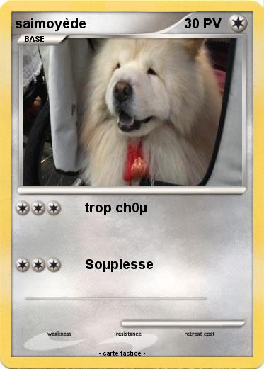 Pokemon saimoyède