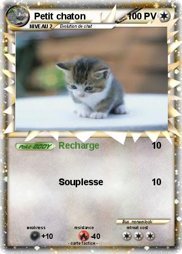 Pokemon Petit chaton