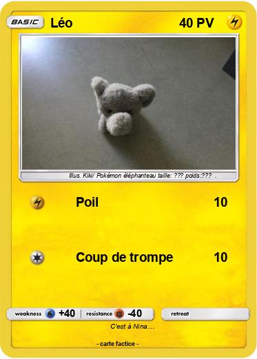 Pokemon Léo