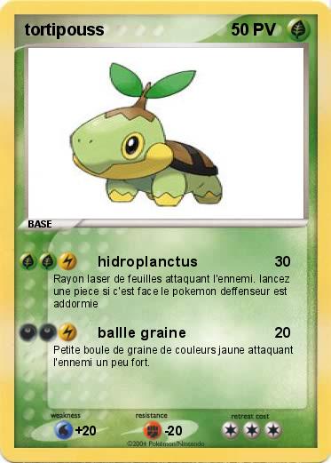 Pokemon tortipouss