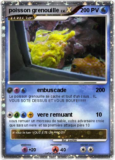 Pokemon poisson grenouille