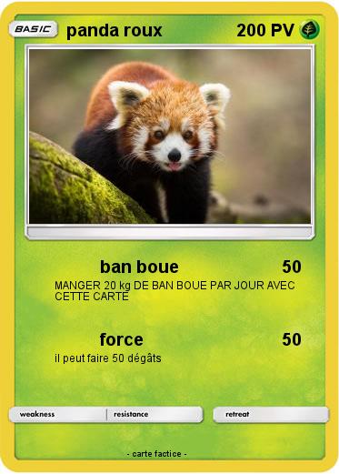 Pokemon panda roux