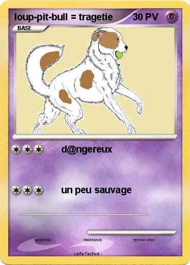 Pokemon loup-pit-bull = tragetie