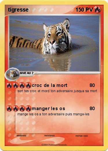 Pokemon tigresse