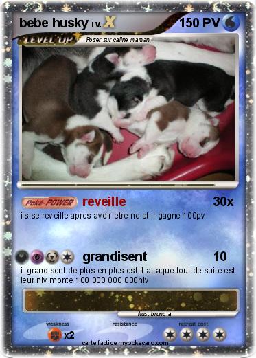Pokemon bebe husky
