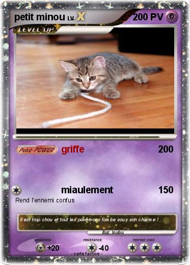 Pokemon petit minou