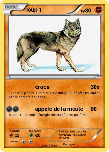 Pokemon loup 1
